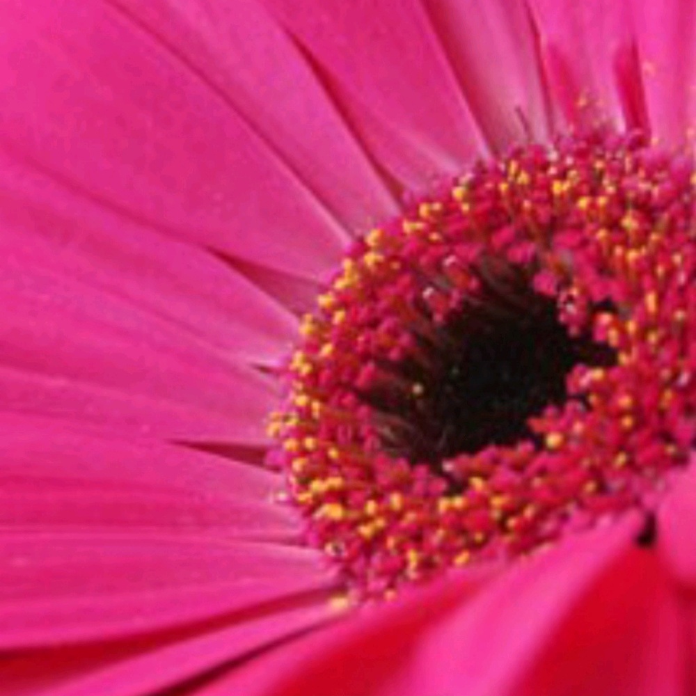 Meet your Posher, Conny